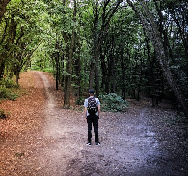 Man standing at a fork in a forest path, representing midlife coaching, clarity, and direction